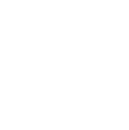 money-1.webp