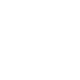 network-1.webp